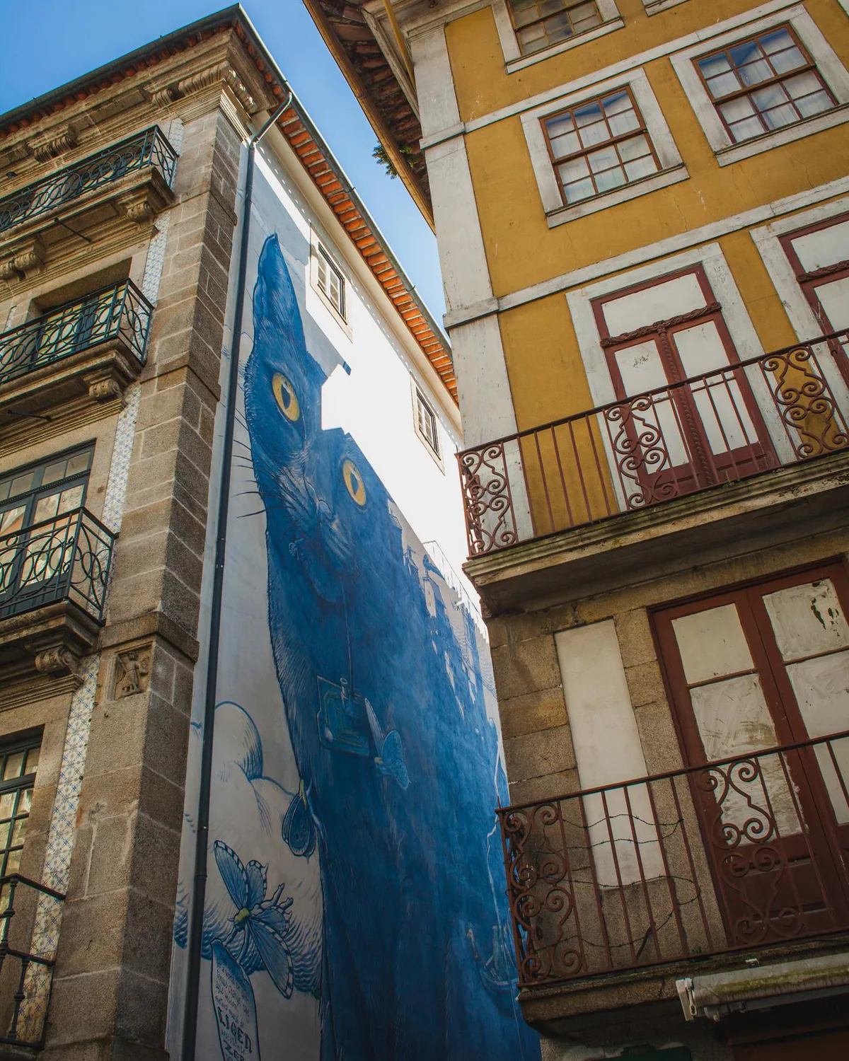Portugees vertaling door Ecrivus — vakvertalers en specialisten